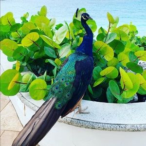 Meet your Posher, Katrina